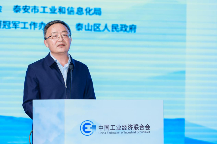 图为泰山区委副书记、区长周鹏飞作经验交流